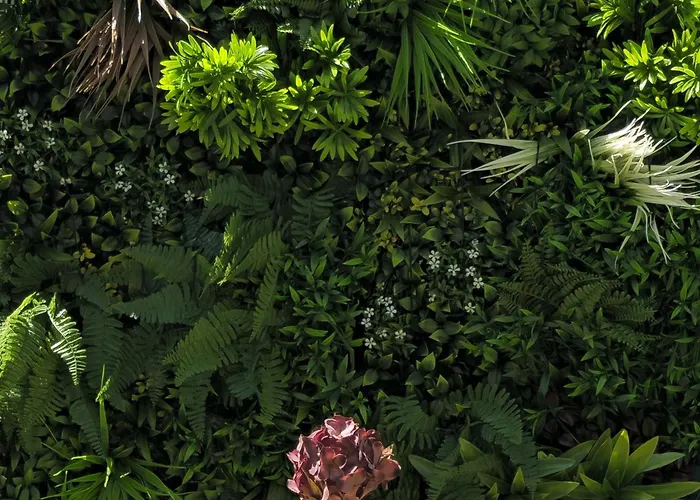 L'adagio Olimpico By Aroom Vut-le-1361